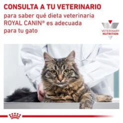 Royal Canin Veterinary Feline Renal En Salsa Sobres Para Gatos -Suministros Para Mascotas rc vet dry catrenal cv eretailkit 9 es es 7