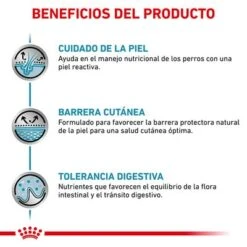 Royal Canin Veterinary Canine Skin Care Pienso Para Perros -Suministros Para Mascotas rc vet dry dogskincare cv eretailkit 3 es es 2