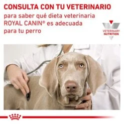 Royal Canin Veterinary Canine Urinary S/O Moderate Calorie -Suministros Para Mascotas rc vet dry dogurinarysomc cv eretailkit 7 es es 1
