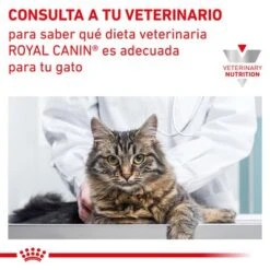 Royal Canin Veterinary Feline Gastro Intestinal Moderate Calorie -Suministros Para Mascotas rc vet wet catgastromcmig cv eretailkit 7 es es 2
