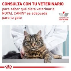 Royal Canin Veterinary Feline Urinary S/O 23 Royal Canin Veterinary Feline Urinary S/O -Suministros Para Mascotas rc vet wet caturinarysocig cv eretailkit 6 es es 2