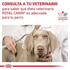 Royal Canin Veterinary Canine Renal Mousse -Suministros Para Mascotas rc vet wet dogrenalloaf410 cv eretailkit 7 es es 7