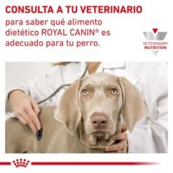 Royal Canin Veterinary Canine Gastrointestinal Low Fat Pienso Para Perros -Suministros Para Mascotas rc vhn gastrointestinallowfatdog cv eretailkit 9 es es pdf 0