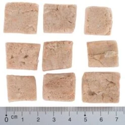 Pack Ahorro 4 X Wolf Of Wilderness RAW Snacks Liofilizados Premium -Suministros Para Mascotas wow fd snack blue river cubes with ruler 4