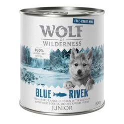 Wolf Of Wilderness Free Range Junior 6 X 800 G -Suministros Para Mascotas wow freerange junior blueriver 800g 1000x1000 1 3