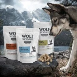 Wolf Of Wilderness Gusty Woodlands Con Vacuno, Bacalao Y Pavo -Suministros Para Mascotas zop 22 060 wolf of wilderness barf image p2 d1 dsc3487 6