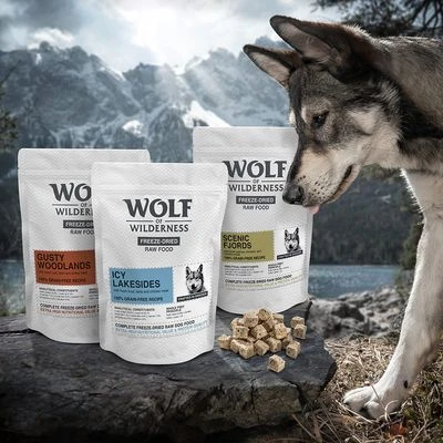Wolf Of Wilderness Gusty Woodlands Con Vacuno, Bacalao Y Pavo - Imagen 6