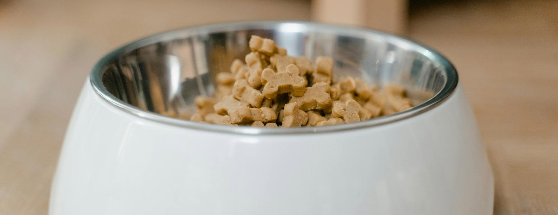 Suministros Para Mascotas -Suministros Para Mascotas pexels mart production 8434633